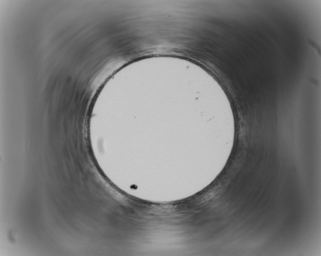 X0000103481285200810241029