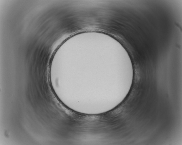 X0000103481286200810241029
