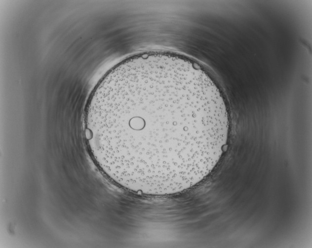 X0000103481287200810241029