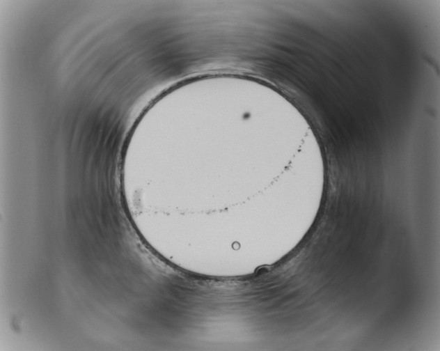 X0000103481288200810241029