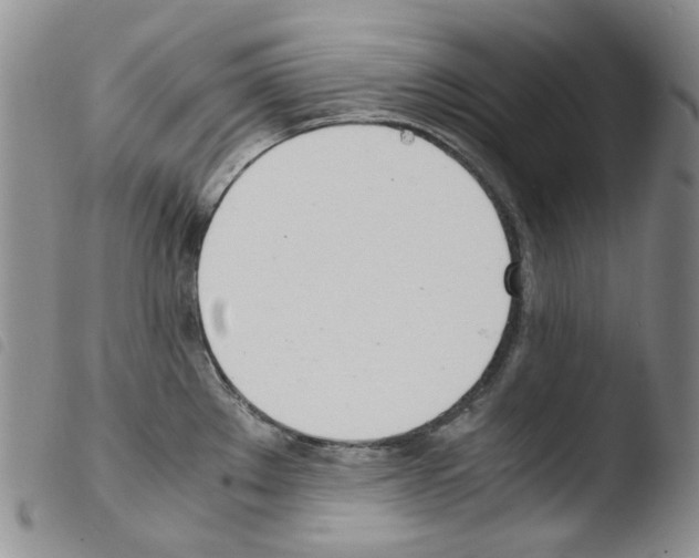 X0000103481289200810241029