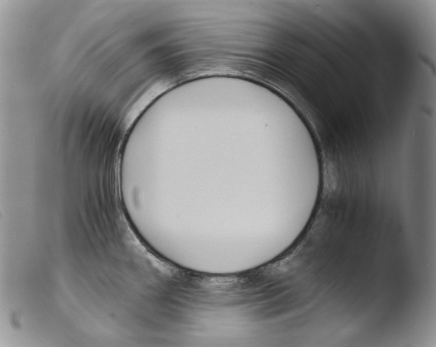 X0000103481290200810241029