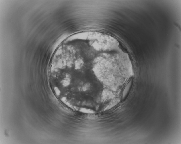 X0000103481291200810241029