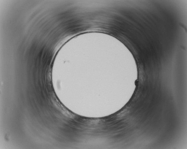 X0000103481292200810241029