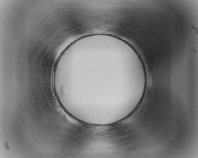 X0000103481294200810241029