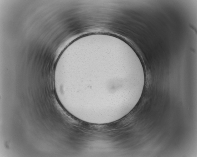 X0000103481295200810241029