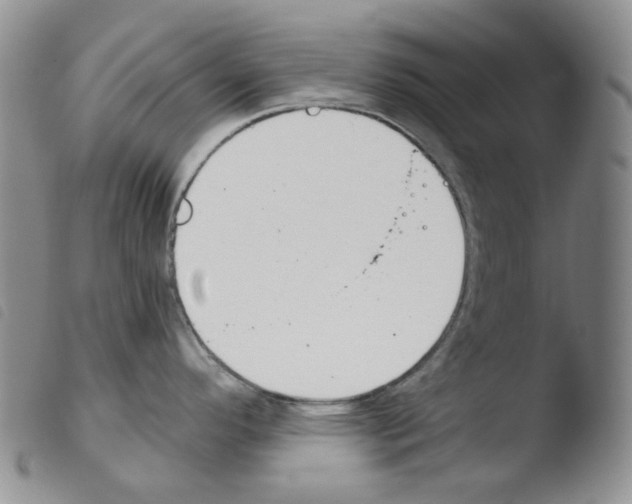 X0000103481296200810241029