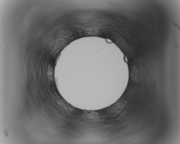 X0000103481298200810241028