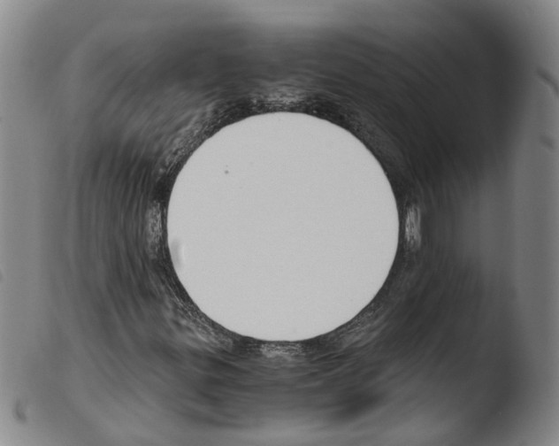 X0000103481299200810241028