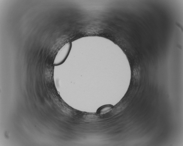 X0000103481300200810241028
