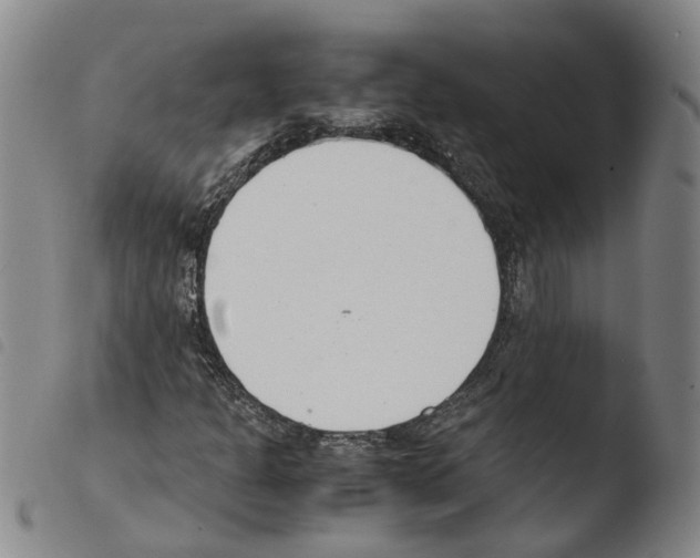 X0000103481301200810241028