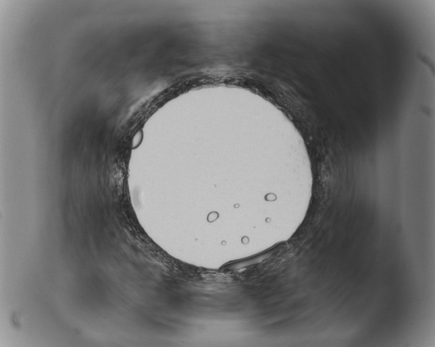 X0000103481302200810241028