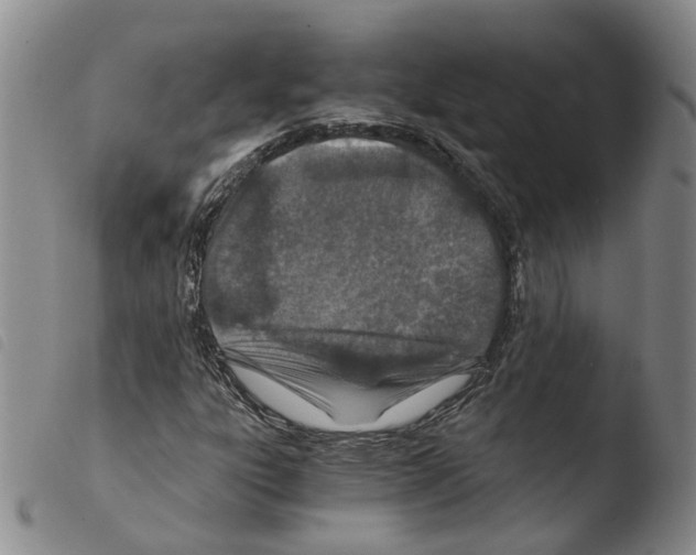X0000103481303200810241028