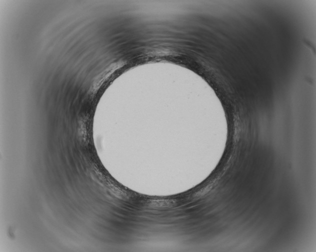 X0000103481305200810241028