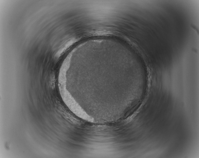 X0000103481306200810241028