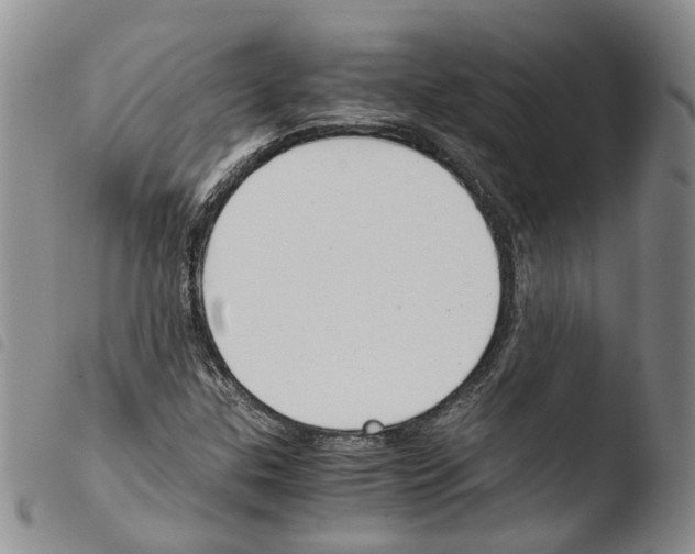 X0000103481307200810241028