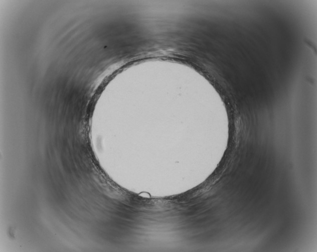 X0000103481308200810241028