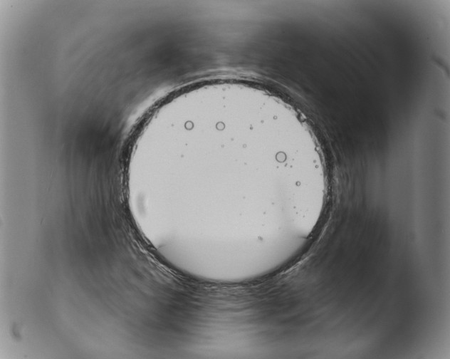 X0000103481310200810241028