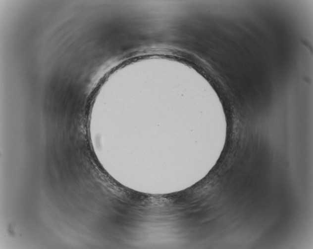 X0000103481312200810241028