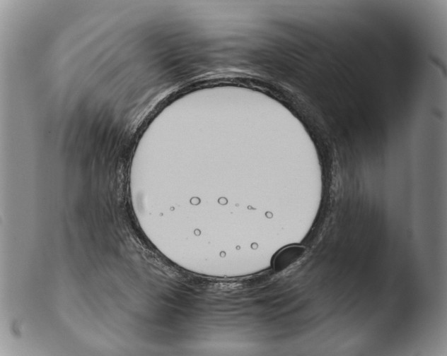X0000103481313200810241028