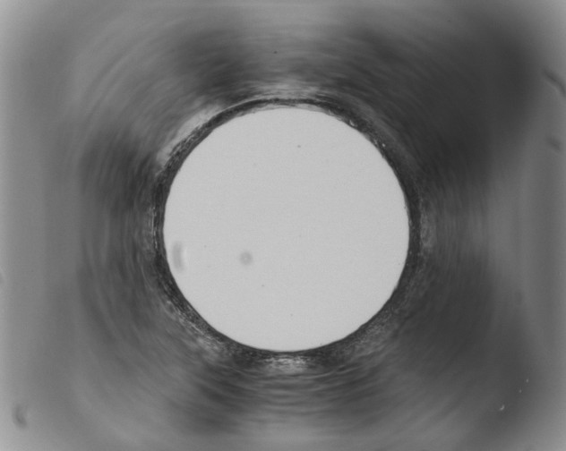 X0000103481315200810241028