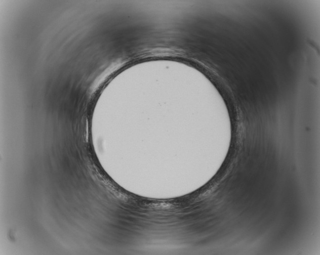 X0000103481317200810241028