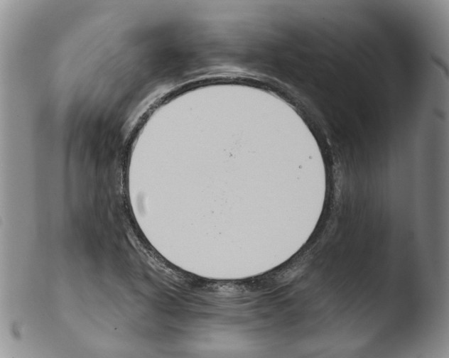 X0000103481318200810241028