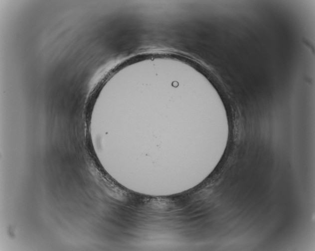 X0000103481319200810241028