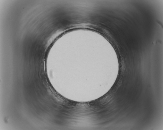 X0000103481320200810241028