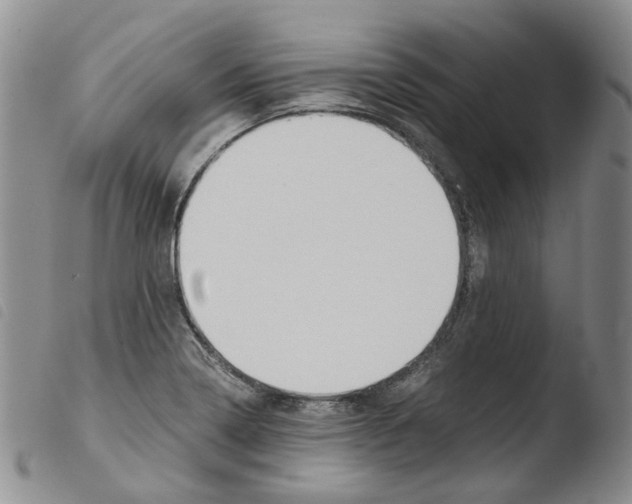 X0000103481322200810241028