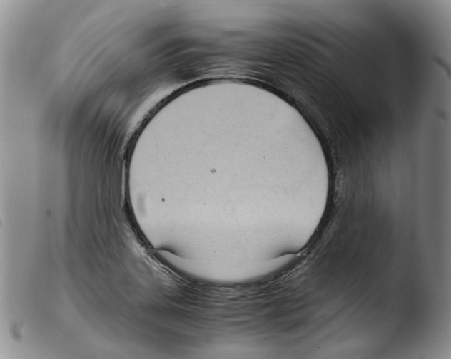 X0000103481323200810241028