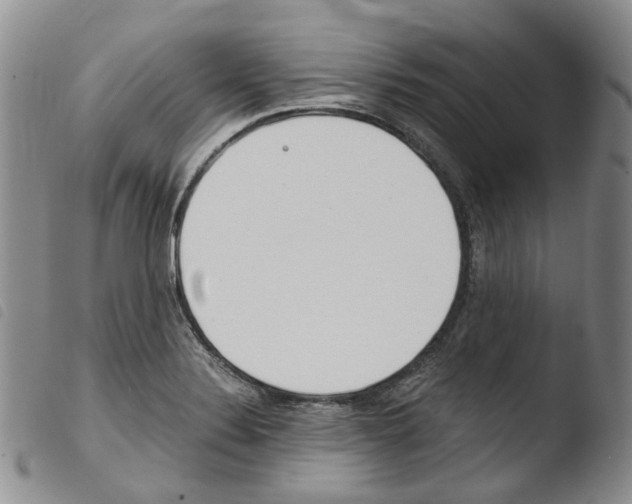 X0000103481324200810241028