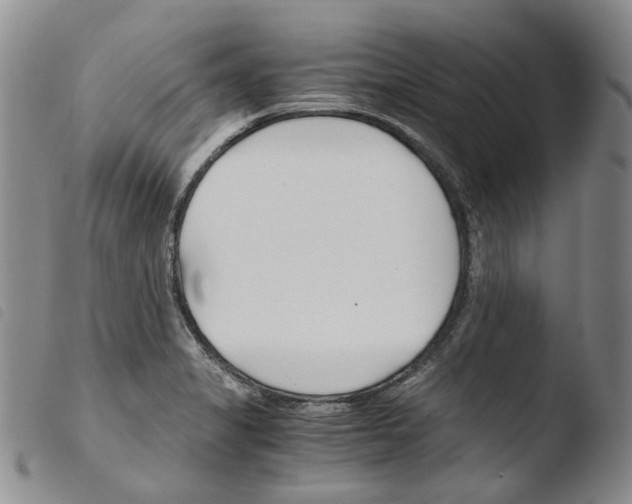 X0000103481325200810241028