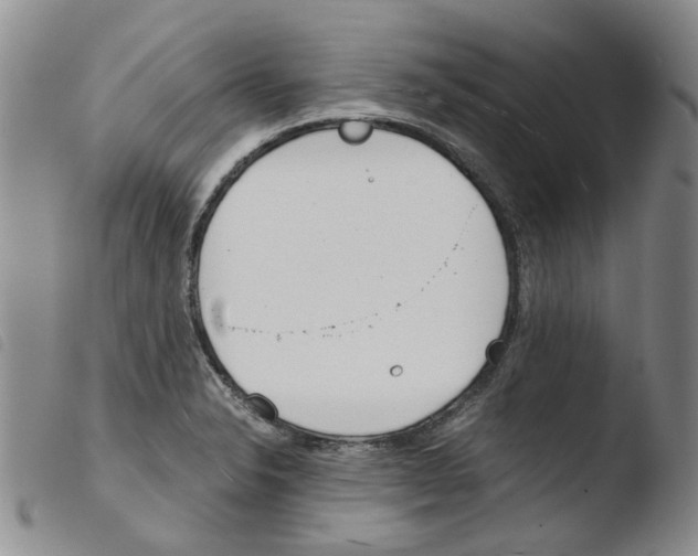 X0000103481326200810241028
