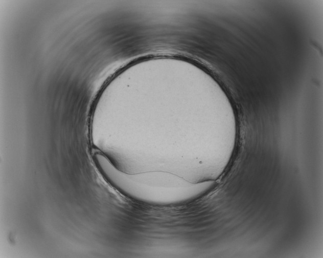 X0000103481327200810241028