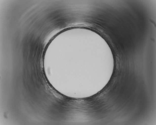 X0000103481328200810241028