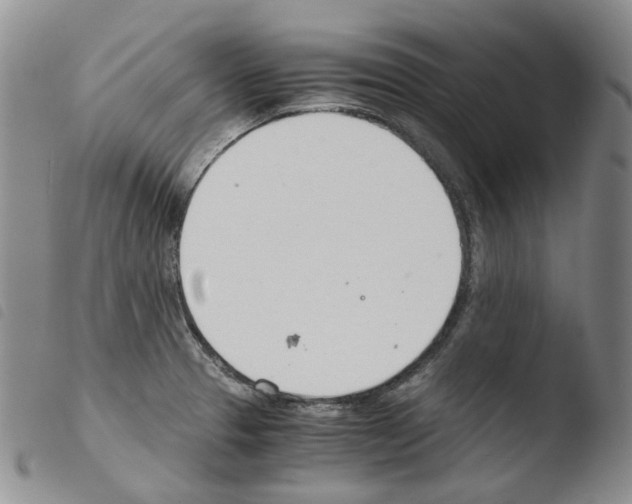 X0000103481329200810241028