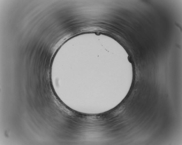 X0000103481330200810241029