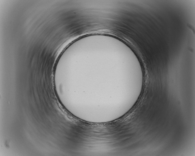 X0000103481332200810241029