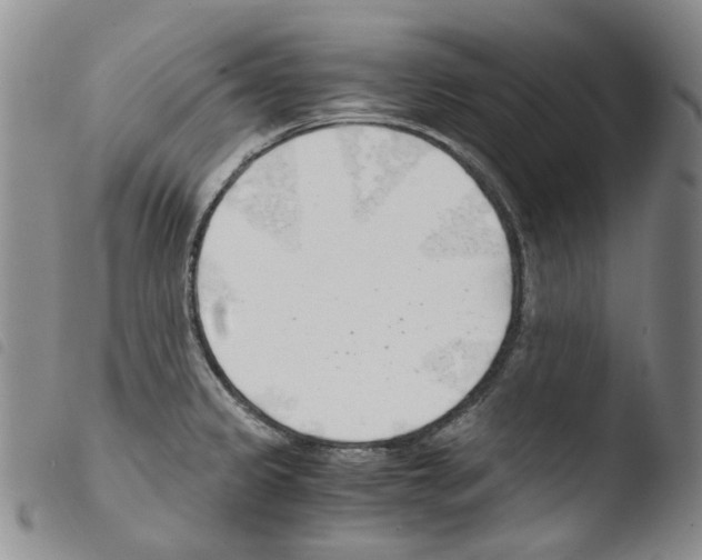 X0000103481333200810241029