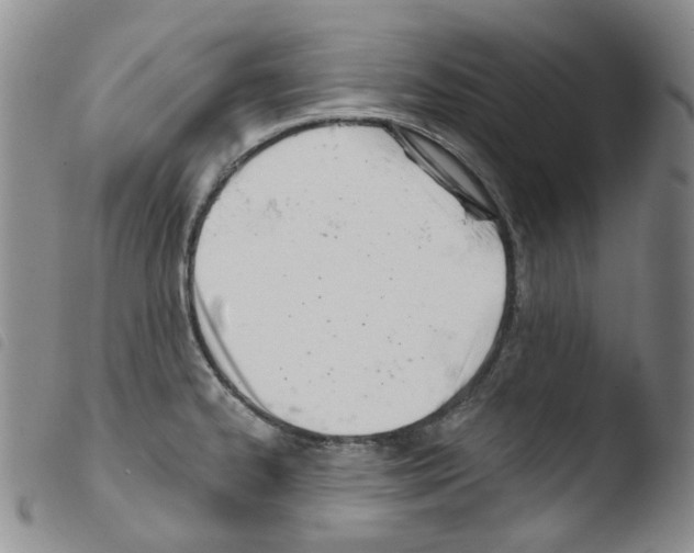 X0000103481334200810241029