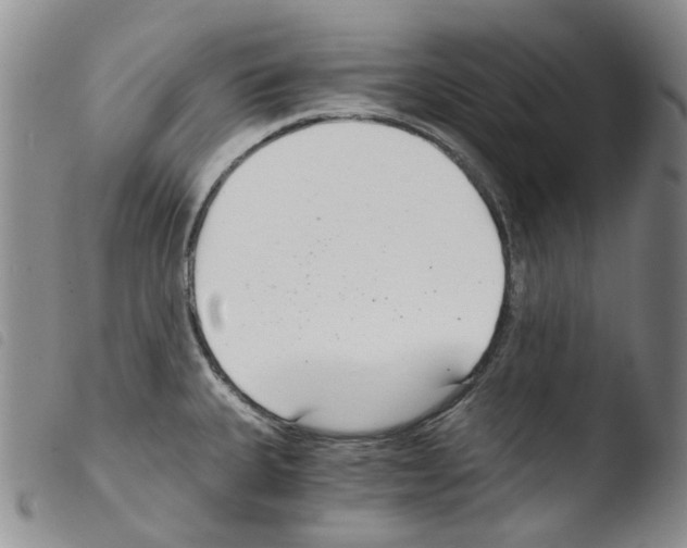 X0000103481335200810241029
