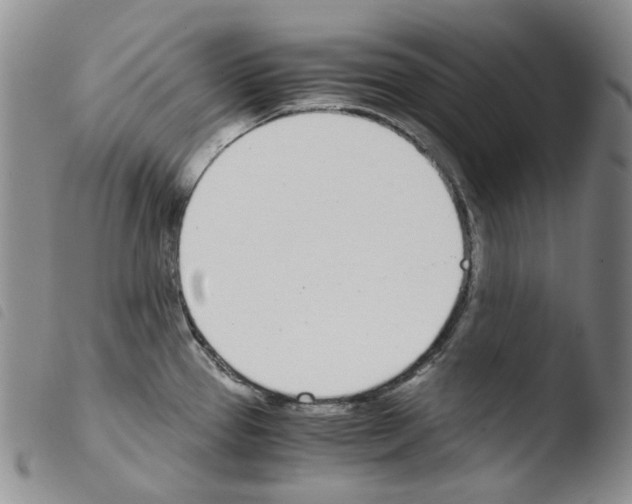 X0000103481337200810241029
