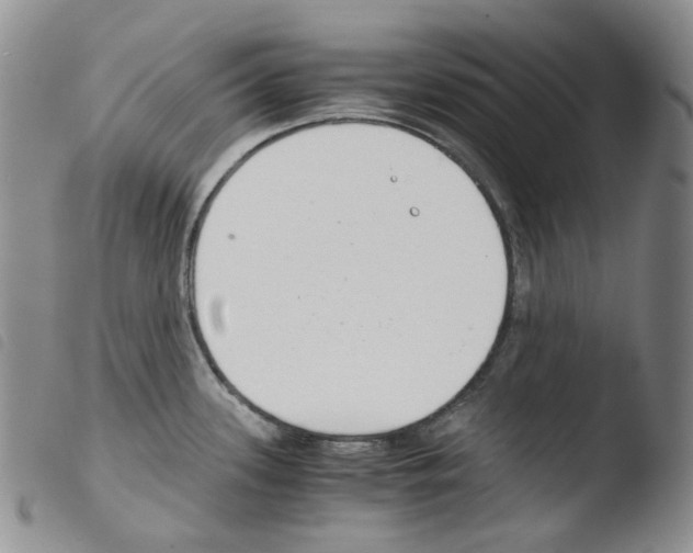 X0000103481339200810241029