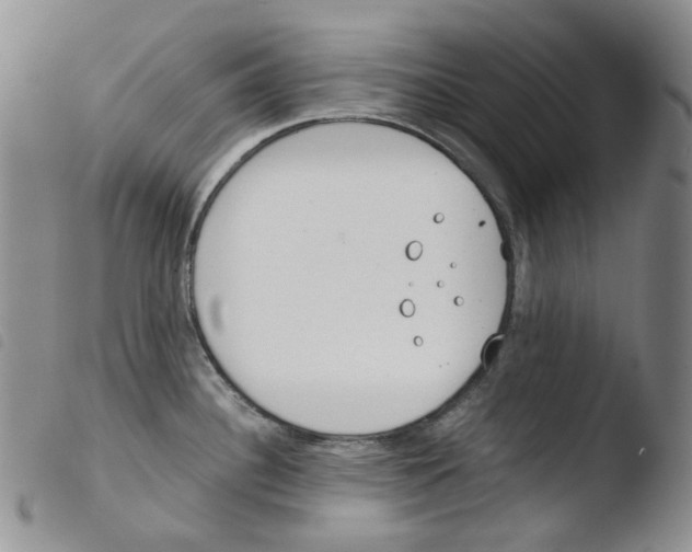 X0000103481340200810241029