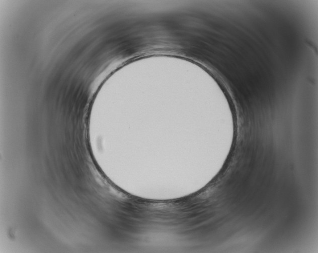 X0000103481341200810241029