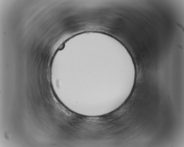 X0000103481342200810241029