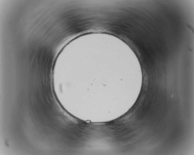 X0000103481343200810241029