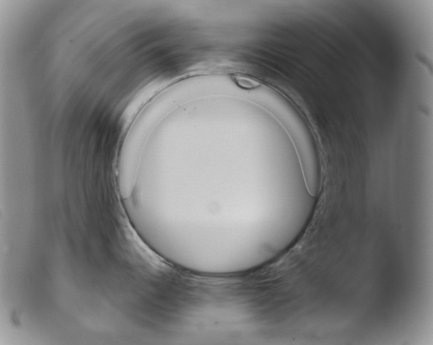 X0000103481344200810241029