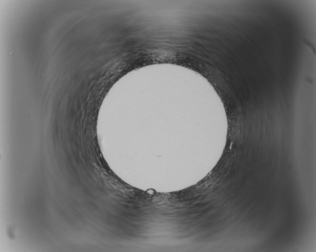 X0000103481345200810241028